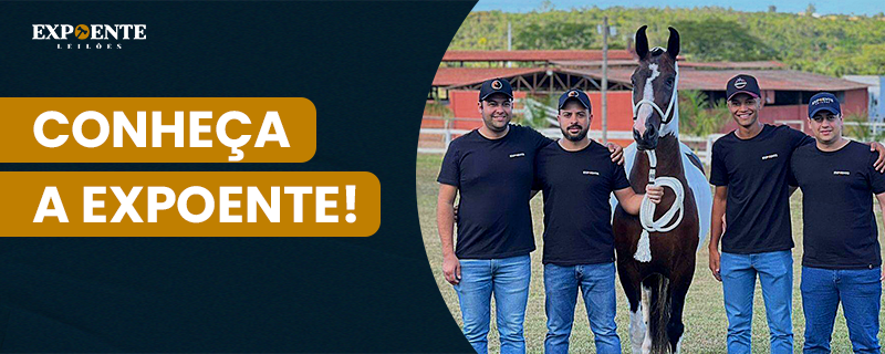 banner baixar apresentação