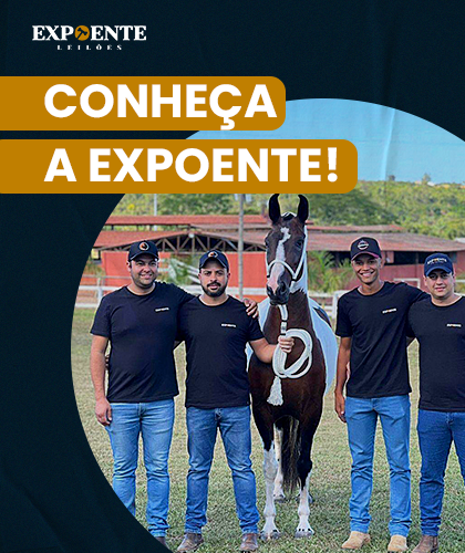 banner baixar apresentação